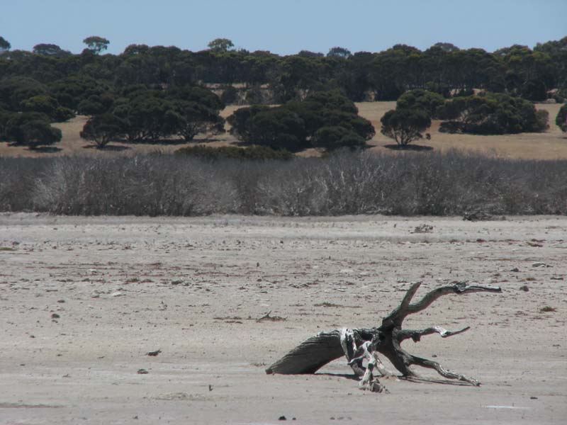 Murray Lagoon